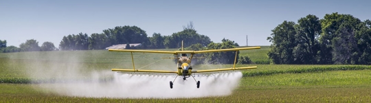 pesticide